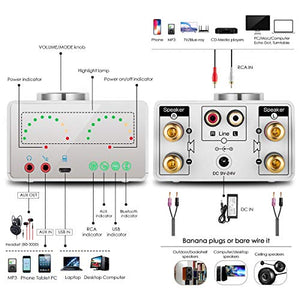 Bluetooth 5.0 Power Amplifier 2 Channel Stereo Mini Hi-Fi Integrated Amp 2.0 Wireless Audio Receiver for Home Speakers Headphone 50W x 2 with USB (Nobsound Tone, Silver)