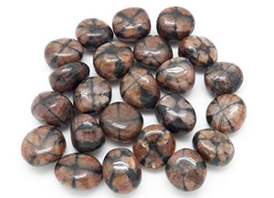 Fundamental Rockhound Products: Chiastolite Tumbled Stone Gemstone Crystal with Carrying Pouch, info Card, Stone Certification (Large)