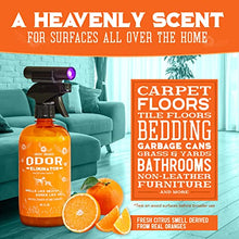 Load image into Gallery viewer, ANGRY ORANGE Pet Odor Eliminator for Strong Odor - Citrus Deodorizer for Dog Urine Smells on Carpet, Furniture &amp; Floors - Puppy Supplies﻿ (24 Fl Oz + UV Flashlight)
