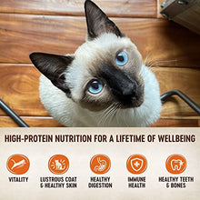 Load image into Gallery viewer, Wellness CORE Grain-Free Signature Selects Wet Cat Food, Natural Pet Food Made with Real Meat (Flaked Skipjack Tuna &amp; Wild Salmon, 5.3 Ounces, Pack of 12)
