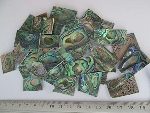 1- Ounce ~ Green Paua Abalone Shell Blanks, Inlay Material. 0.06