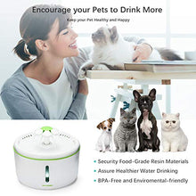 Load image into Gallery viewer, SHU UFANRO Pet Fountain Automatic Cat Water Fountain Dog Water Dispenser with 3 Replacement Filters, 70oz/2L Drinking Fountains Bowl with LED Light for Cat and Small Dogs, Multiple Pets
