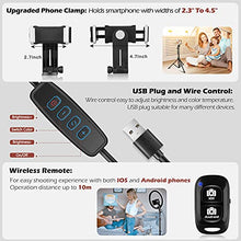 Load image into Gallery viewer, UBeesize 12’’ led Ring Light with Tripod Stand and Phone Holder, Selfie Ring Light for Video conferencing, Compatible with iPhone&amp;Android Phones&amp;Cameras
