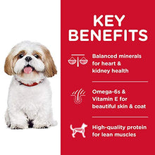 Load image into Gallery viewer, Hill's Science Diet Dry Dog Food, Adult 7+ for Senior Dogs, Small Bites, Chicken Meal, Barley &amp; Brown Rice Recipe, 5 lb Bag
