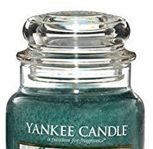 Load image into Gallery viewer, Yankee Candle Eucalyptus Large Jar Candle, 22-Ounce by Yankee Candle Company
