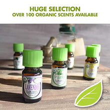 Load image into Gallery viewer, Healing Solutions Organic 10ml Oils - Clove Bud Essential Oil - 0.33 Fluid Ounces
