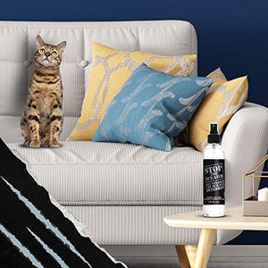 Emmy's Best Stop The Scratch Cat Deterrent Spray for Kittens and Cats - Non-Toxic, Safe for Plants, Furniture, Floors and More with Rosemary Oil and Lemongrass