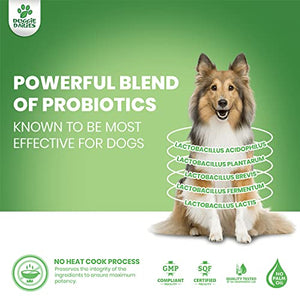Doggie Dailies Probiotics for Dogs, 225 Soft Chews, Advanced Dog Probiotics with Prebiotics, Promotes Digestive Health, Supports Immune System and Overall Health (Pumpkin)
