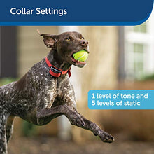 Load image into Gallery viewer, PetSafe Stubborn Dog Stay + Play Wireless Fence Receiver Collar, Waterproof and Rechargeable, Tone and Static Correction
