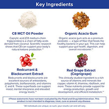 Load image into Gallery viewer, Gundry MD MCT Wellness Powder to Support Energy, Ketone Production and Brain Health, Keto Friendly, Sugar Free (30 Servings) (Watermelon Lemonade)
