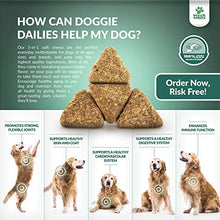 Load image into Gallery viewer, Doggie Dailies Bundle - 5-in-1 Multivitamin &amp; Salmon Oil for Dogs
