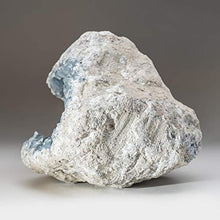 Load image into Gallery viewer, Astro Gallery of Gems Blue Celestite Cluster Geode from Sankoany, Ketsepy Mahajanga, Madagascar (27.6 lbs) - BC79
