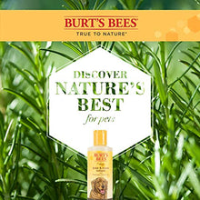 Load image into Gallery viewer, Burt&#39;s Bees for Pets for Dogs All-Natural Paw &amp; Nose Lotion with Rosemary &amp; Olive Oil | For All Dogs and Puppies, 4oz | Best Treatment for All Dogs and Puppies With Dry Nose and Paws
