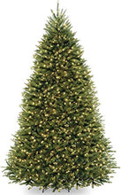 Load image into Gallery viewer, National Tree Company Dunhill Fir Artificial Tree, 9 Ft, Dual Colored Lights
