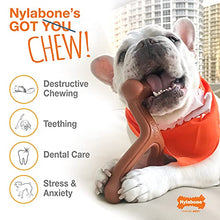 Load image into Gallery viewer, Nylabone Power Chew Textured Dog Chew Ring Toy Flavor Medley Flavor X-Large/Souper - 50+ lbs.
