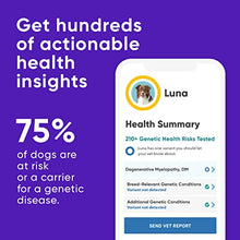 Load image into Gallery viewer, Embark | Dog DNA Test | Breed &amp; Health Kit | Breed Identification &amp; Canine Genetic Health Screening
