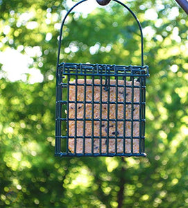 St. Albans Bay Suet Plus High Energy Suet Cakes, 20 Pack of 11 oz. Suet Cakes for Wild Birds