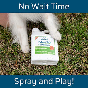 Wondercide - Flea and Tick Spray Concentrate for Yard and Garden with Natural Essential Oils – Kill, Control, Prevent, Fleas, Ticks, Mosquitoes and Insects - Safe for Pets, Plants, Kids - 16 oz