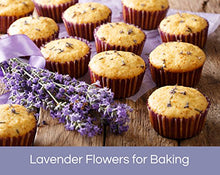 Load image into Gallery viewer, Organic Lavender Flowers - Kate Naturals. Premium Grade. Dried. Perfect for Tea, Lemonade, Baking, Baths. Fresh Fragrance. Large Resealable Bag. Gluten-Free, Non-GMO. (4 oz (Starter Size))
