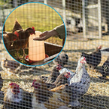 Load image into Gallery viewer, Amagabeli 1/4 Hardware Cloth 36 x 50 23Gauge Galvanized After Welded Wire Metal Mesh Roll Vegetables Garden Rabbit Fencing Snake Fence for Chicken Run Critters Gopher Racoons Rehab Cage Wire Window
