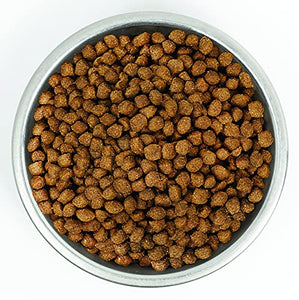 Stella & Chewy's Wild Red Dry Dog Food Raw Coated High Protein Grain & Legume Free Puppy Prairie Recipe, 3.5 lb. Bag