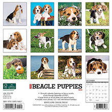 Load image into Gallery viewer, Just Beagle Puppies 2022 Wall Calendar (Dog Breed)

