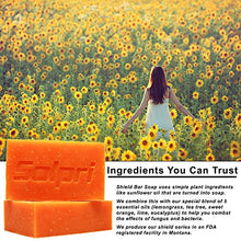 Load image into Gallery viewer, Solpri Shield Antifungal Soap Bar Lemongrass Tea Tree Eucalyptus 4 oz (2 Pack)
