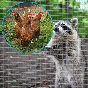 Amagabeli 48x50 Hardware Cloth 1/2 Inch 19 Gauge Square Galvanized Chicken Wire Fence Mesh RABIT Wire Fence Poultry Netting Cage Snake Fence
