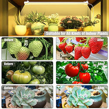 Load image into Gallery viewer, LED Plant Grow Light Strips Full Spectrum Grow Lights for Indoor Plants with Auto On/ Off 3/6/12H Timer, 5 Dimmable Levels 192 LEDs Sunlike Grow Lamp for Hydroponics Succulent, 4 Pack
