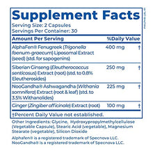 Load image into Gallery viewer, Tony Horton PowerLife Peak Advantage Supplement with AlphaFen, 60 Count
