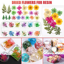 Load image into Gallery viewer, Resin Decoration Accessories Kit, Thrilez Resin Jewelry Making Supplies Kit with Dried Flowers, Resin Glitter Sequin, Mica Powder, Resin Foil Flakes and Epoxy Resin Fillers for Resin Crafts Beginners
