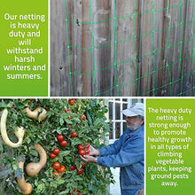 Load image into Gallery viewer, De-Bird: Trellis Netting for Climbing Garden Plants, Grow Garden Flowers, Green Pea and Vine Plants
