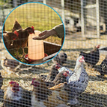 Load image into Gallery viewer, Amagabeli 48x100 1/2Inch Hardware Cloth Galvanized Welded Cage 19 Gauge Chicken Wire Mesh Fence Garden Plant
