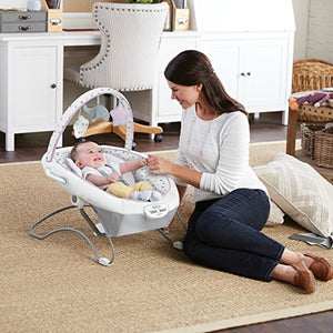 Graco Duet Sway LX Swing with Portable Bouncer, Camila