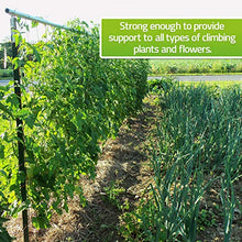 Load image into Gallery viewer, De-Bird: Trellis Netting for Climbing Garden Plants, Grow Garden Flowers, Green Pea and Vine Plants
