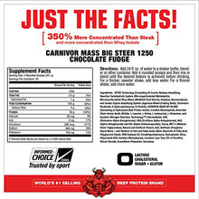 Load image into Gallery viewer, MuscleMeds Carnivor Mass Chocolate Big Steer 1250 Bucket, 15 Lb

