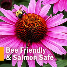 Load image into Gallery viewer, Herb Pharm Certified Organic Super Echinacea Liquid Extract for Active Immune System Support - 1 Ounce
