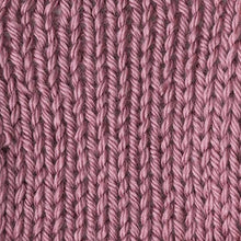 Load image into Gallery viewer, Caron Simply Soft Solids Yarn (4) Medium Gauge 100% Acrylic - 6 oz - Plum Wine - Machine Wash &amp; Dry
