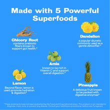 Load image into Gallery viewer, Sunwink Digestion Lemonade - Organic Lemon &amp; Amla Powder for Digestion and Detox - Clean Superfood Powder for Lemon Water, Lemon Juice &amp; Smoothies - No Added Sugar (40 Servings)
