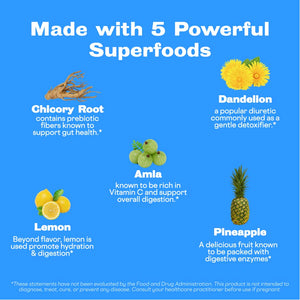 Sunwink Digestion Lemonade - Organic Lemon & Amla Powder for Digestion and Detox - Clean Superfood Powder for Lemon Water, Lemon Juice & Smoothies - No Added Sugar (40 Servings)