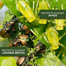 Load image into Gallery viewer, Osmocote 274850 Smart-Release Plant Food Plus Outdoor &amp; Indoor, 8 lbs &amp; Bayer Advanced 701110A All in One Rose and Flower Care Granules, 4-Pound
