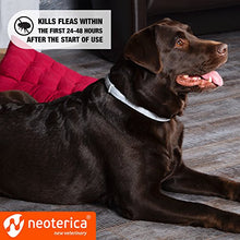 Load image into Gallery viewer, Rolf Club Flea &amp; Tick Collar for Dogs with 3D Level Protect | 6 Months Prevention &amp; Waterproof Repellent | Knockdown Effect Kills Ticks Before Bite | Safe Treatment Control | For Dogs Up to 65 Lb
