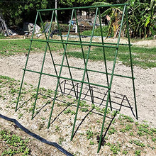 Load image into Gallery viewer, Pack of 25 Garden Stakes Sturdy Plant Sticks Plastic Coated Plant Stakes Support Metal Tomato Stakes for Cucumber, Strawberry, Beans, Trees (48 Inch)
