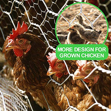 Load image into Gallery viewer, Amagabeli 2 inch Hexagonal Poultry Netting Galvanized Chicken Wire Mesh Fence 20gauge Large Frame with Chicken Netting Rabbits Pets Dog Cat Vegetable Garden fencing Backyard Raised Flower 36inchx50ft
