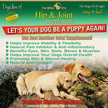 Load image into Gallery viewer, Concentrated Liquid Glucosamine for Dogs ? Advanced Hip and Joint Supplement with Chondroitin, MSM, Hyaluronic Acid and More ? Safe &amp; Natural Arthritis Pain Relief for Dogs ? 32 oz Bottle ? Made in USA! ?!
