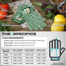 Load image into Gallery viewer, Glove Station The Combat Tactical Knuckle Gloves, Green, M &amp; Ultra Durable Series Cut Resistant Gloves, Green, M
