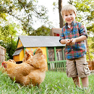 BestPet Chicken Coop Chicken Cage Pens Crate Rabbit Cage Enclosure Pet Playpen Exercise Pen