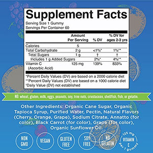 Vegan Vitamin C Gummies by MaryRuth's | 2 Month Supply | Great Tasting Plant-Based Formula Supports Immune Function & Overall Health for Adults & Kids | Non-GMO with 125 mg of Vitamin C Per Gummy