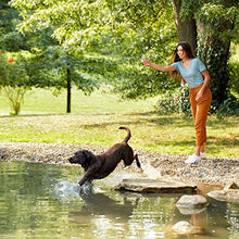 Load image into Gallery viewer, Nature’s Recipe Healthy Skin Vegetarian Recipe Dry Dog Food, 24 Pound Bag
