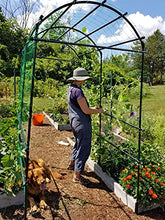 Load image into Gallery viewer, Gardener’s Supply Company Extra Tall Garden Arch Arbor 80in Titan Squash Tunnel | Lightweight Metal Garden Arch Trellis Plant Stand for Climbing Vines | Outdoor Lawn Tower &amp; Garden Support Structure
